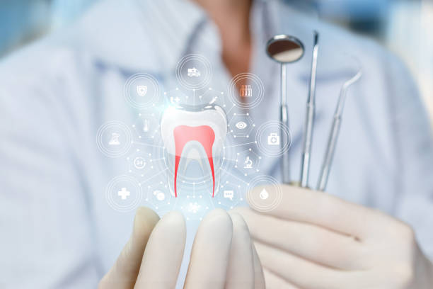 Best Full Mouth Reconstruction  in Brocton, NY